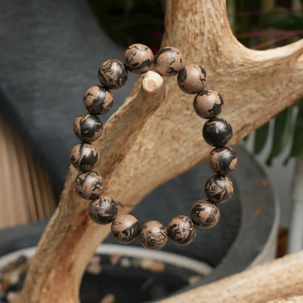 【The Mysteries of Tai Chi】Calm the mind and steady the spirit, Accompany you in your studies, Seek seclusion and find tranquility, Where refined elegance naturally arises.